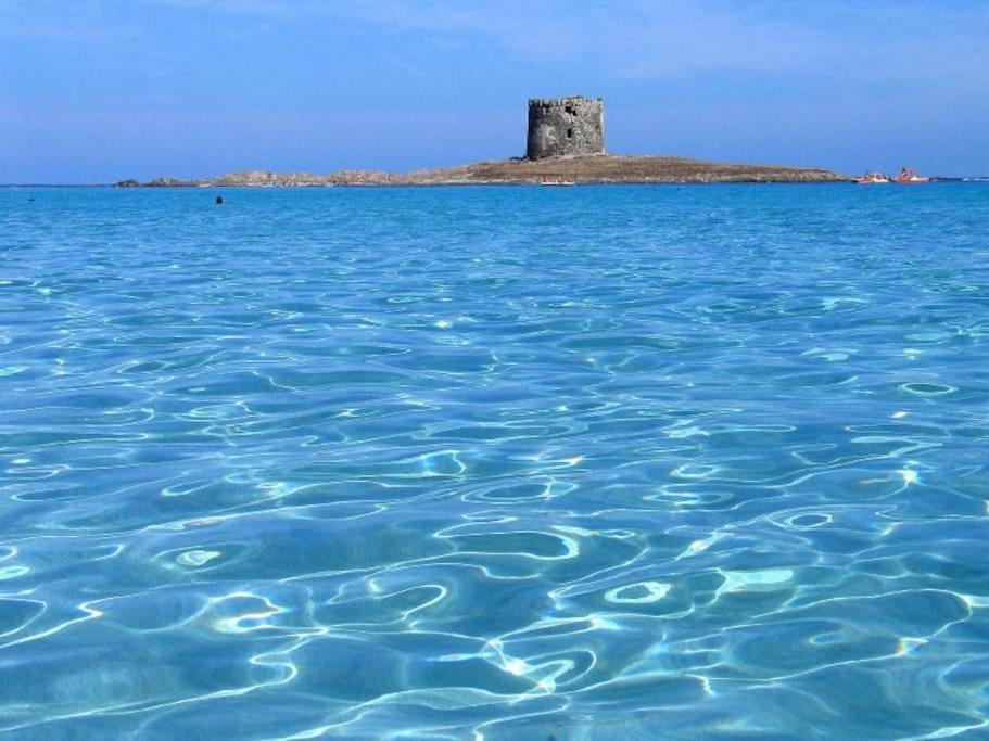 Appartamento A 200Mt Da "La Pelosa" Stintino Bagian luar foto